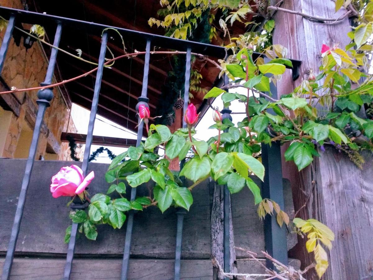 La Casita / Casa De Campo Santa Gadea  Ngoại thất bức ảnh